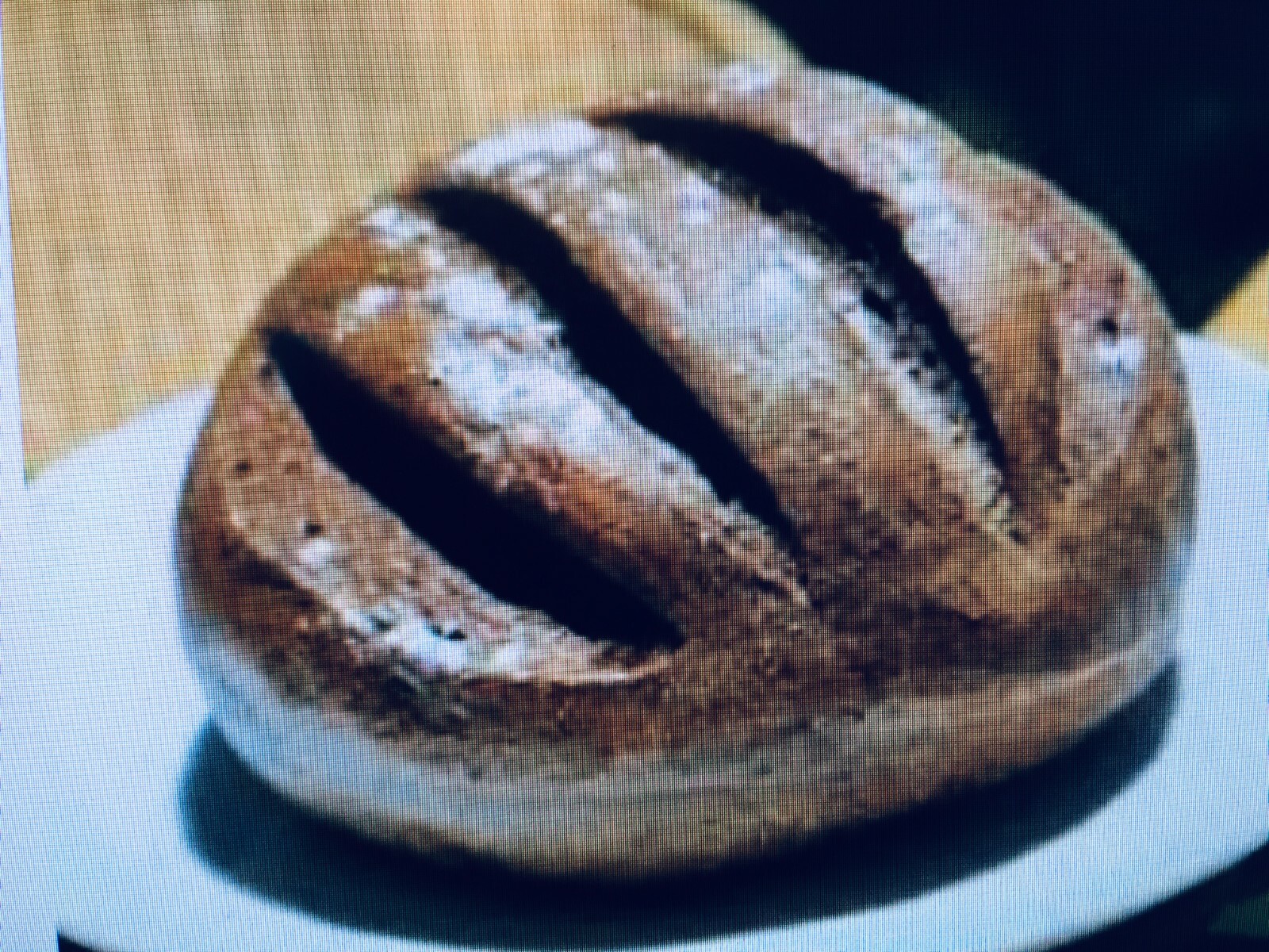 Bavarian "Black Death" Sourdough Starter YEAST 400 Year-Old History ACTIVE SOUR