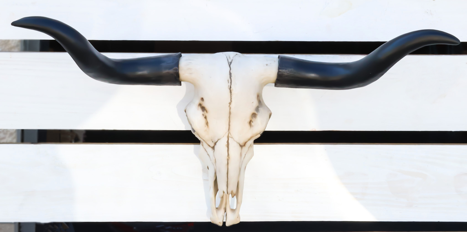 Ebros Large 27"Wide Longhorn Steer Cow Skull Wall Head Hanging Sculpture Plaque