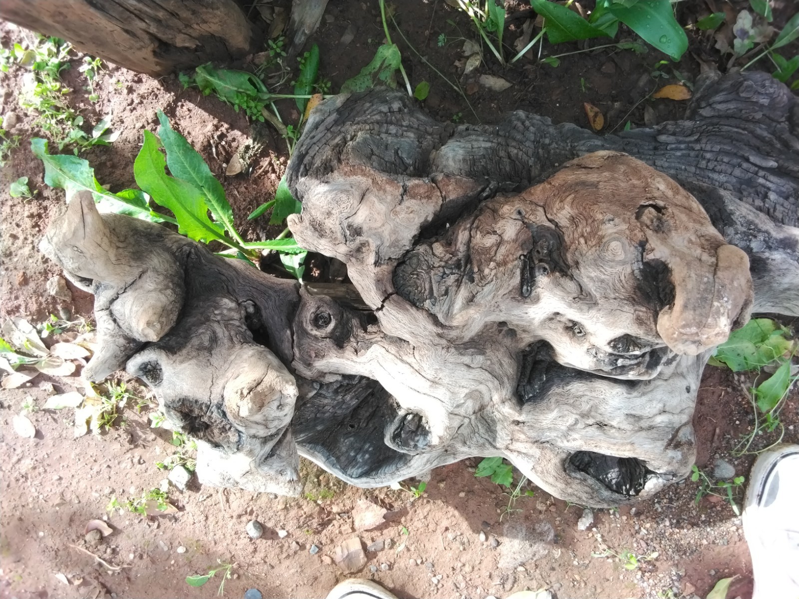 DrRIFTWOOD, LANDSCAPING, ART, AMAZING