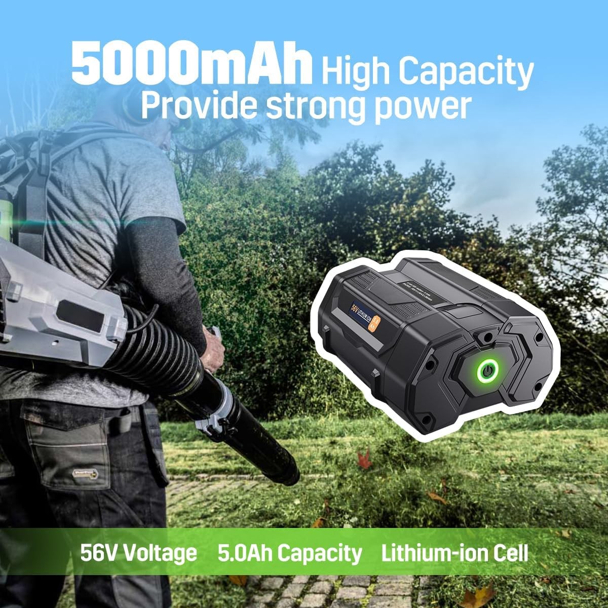 For EGO 56Volt Power+ BA2800 BA4200T 5.0Ah Lithium-ion Battery+Charger CH2800D