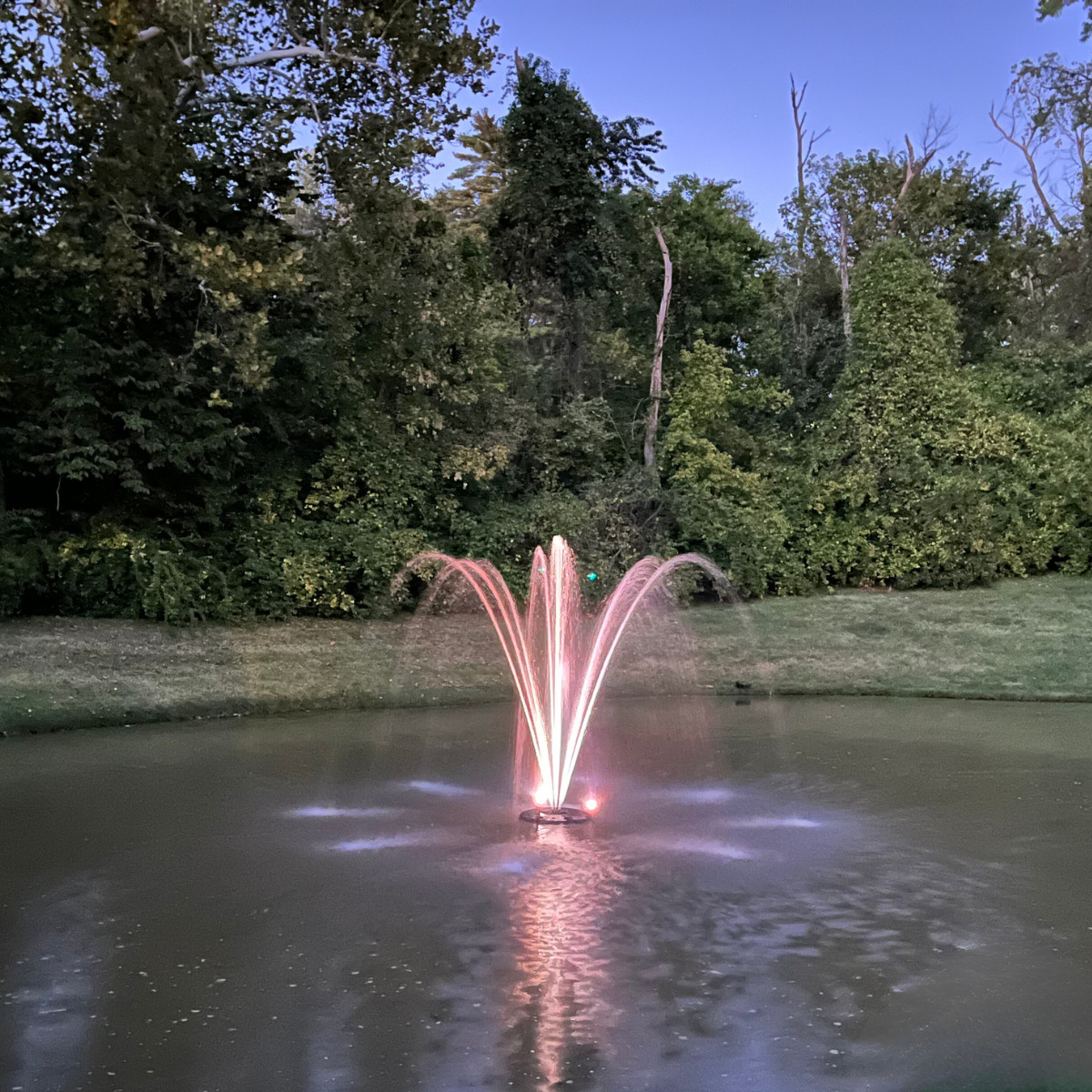 HALF OFF PONDS 1 HP Fountain | 100 ft. | 13 Patterns | Color-Changing Lights