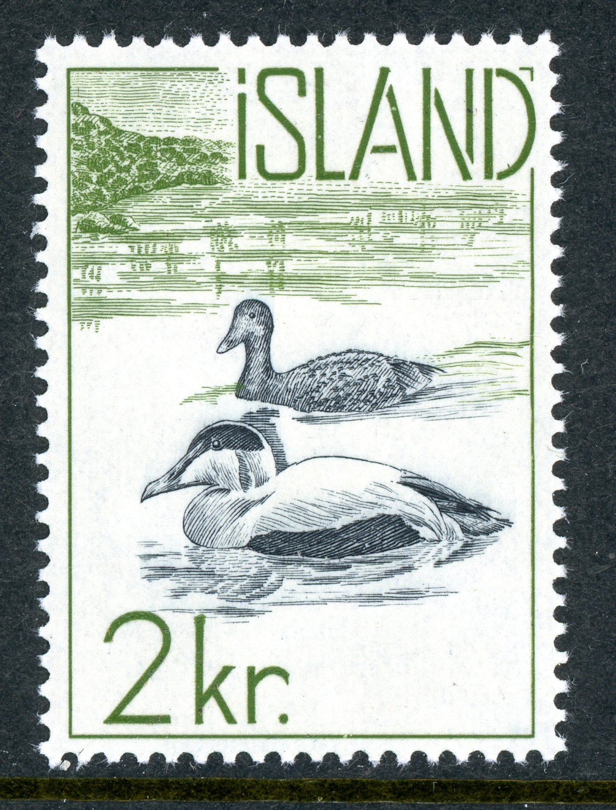 Iceland 1959 Duck  Birds 2 Kr  Scott #321 Mint Non Hinged T56