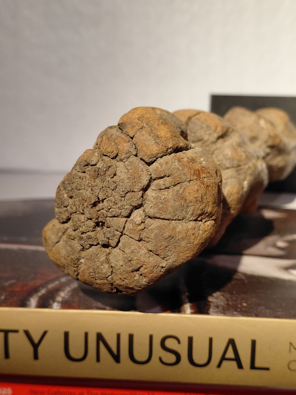 African Old Cameroon Ancestor Figure