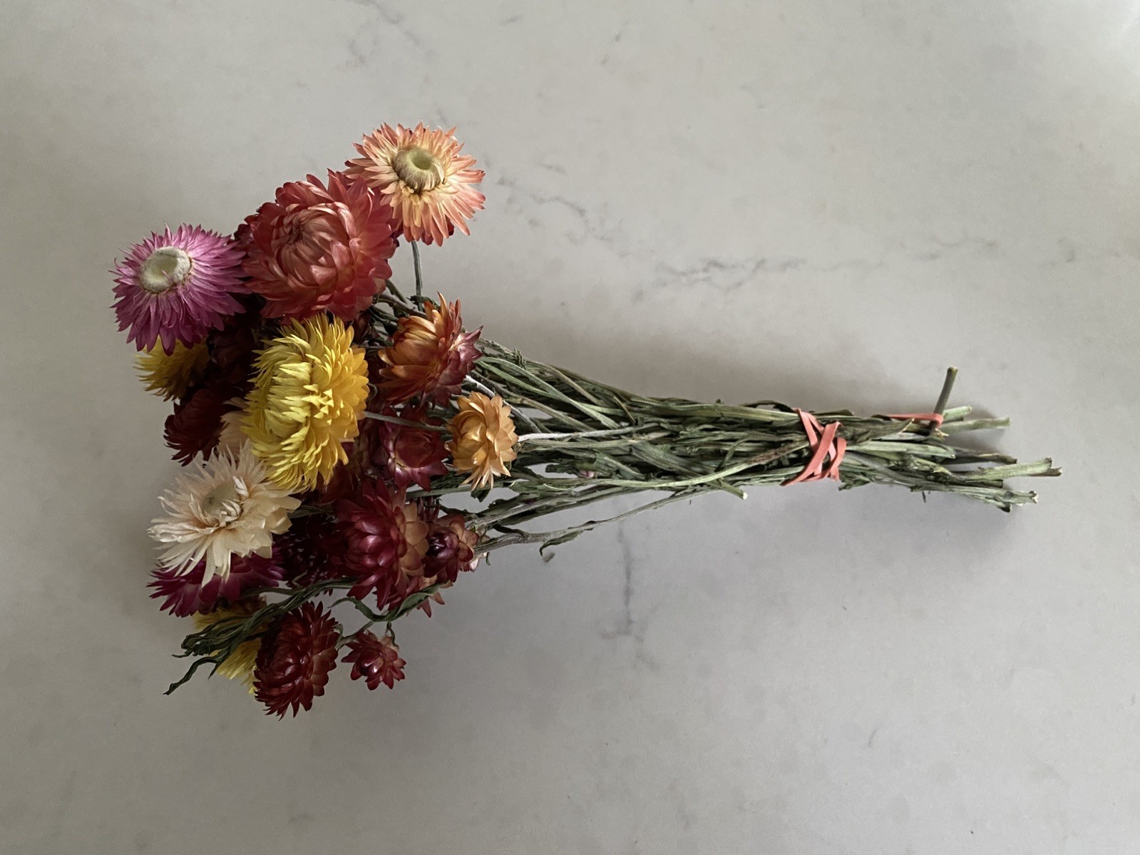 Beautiful STRAWFLOWERS Assorted Bunch BOUQUET Bundle DRIED Flowers USA Auc#3