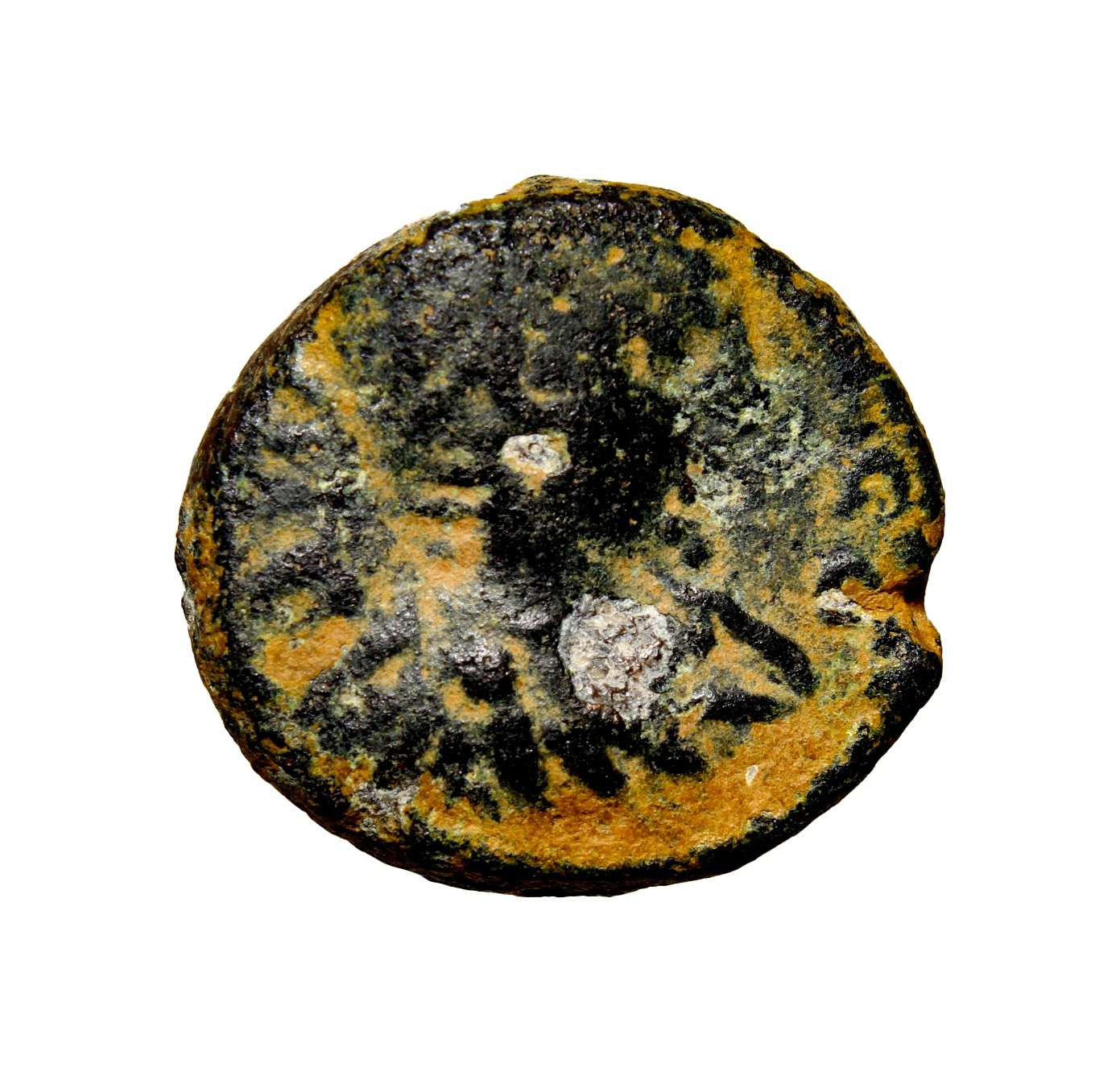 Very Rare & Nice JUDAEA, Antipatras. Elagabalus. AD 218-222. Æ Temple Coin COA