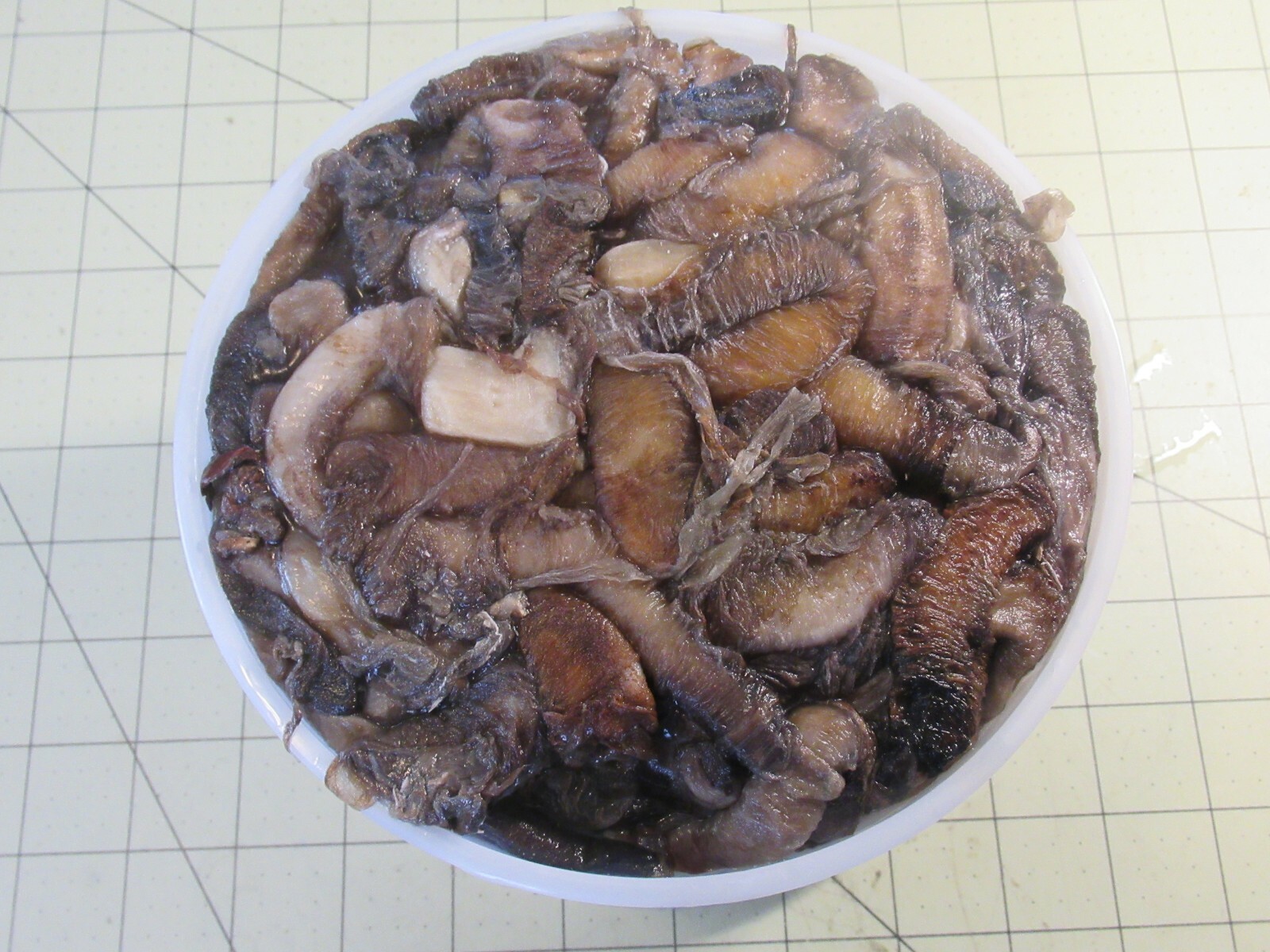 FROZEN BAIT CLAM NECKS SNOUTS PORGY SEA BASS CATFISH SCUP BULK 2 QT FISHING BAIT