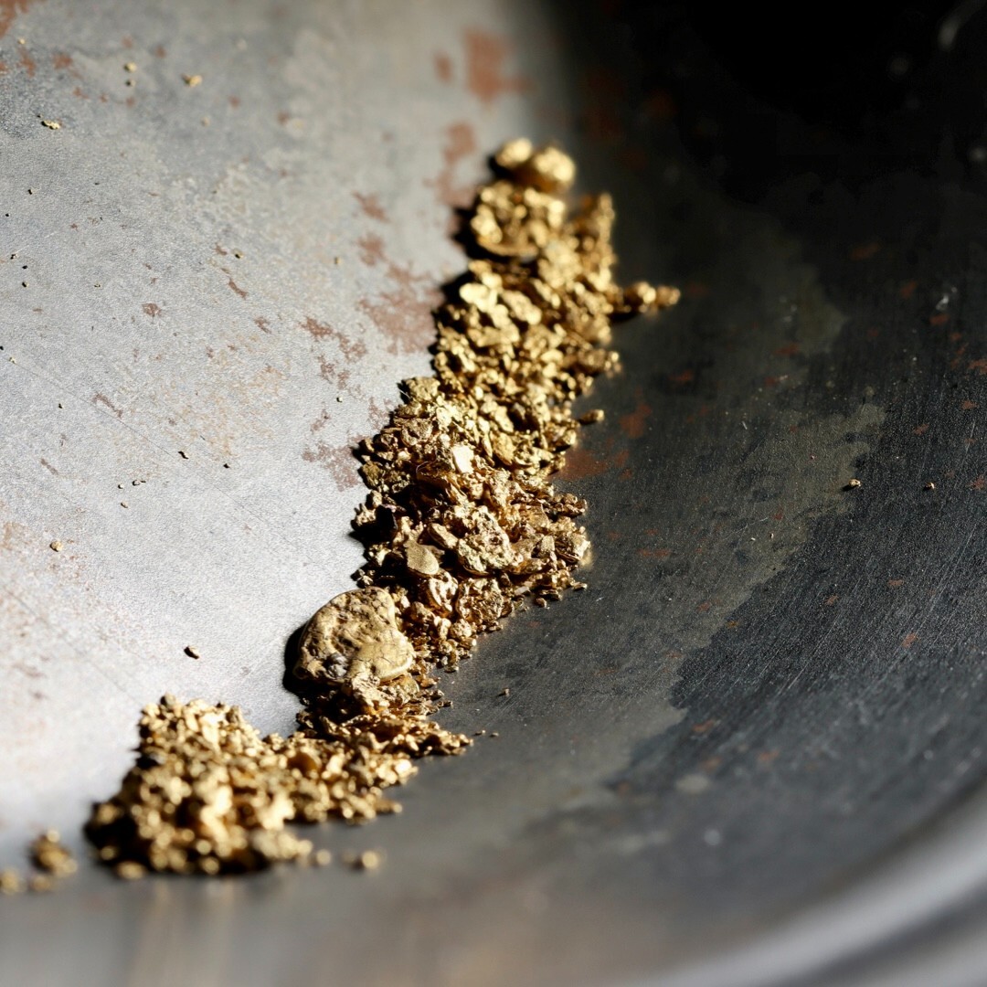 Presidential 10 Gram Gold Nugget Hunt Rich Unsearched Paydirt With Added Gold