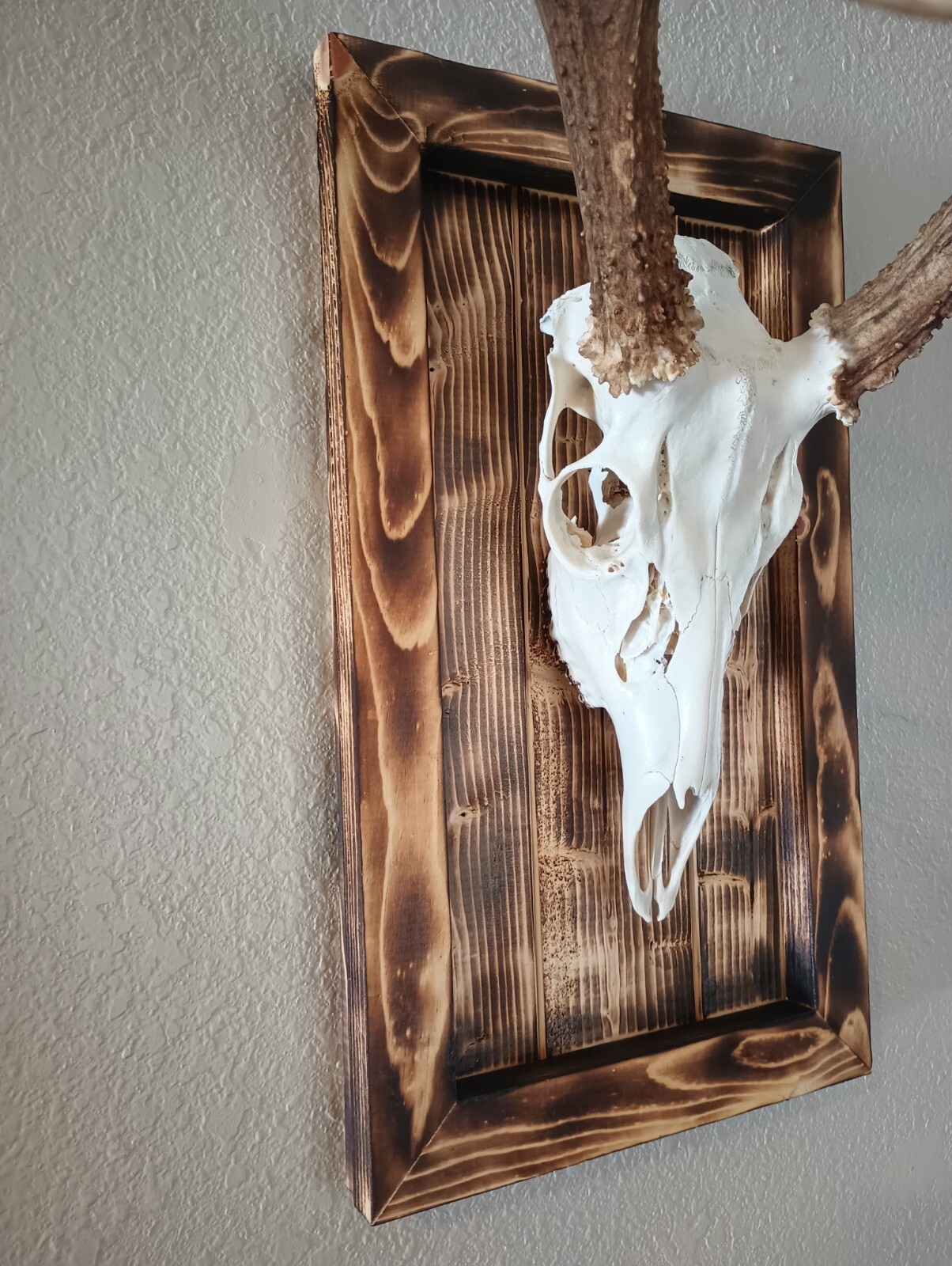 Rustic European Mount Plaque w/Hanger