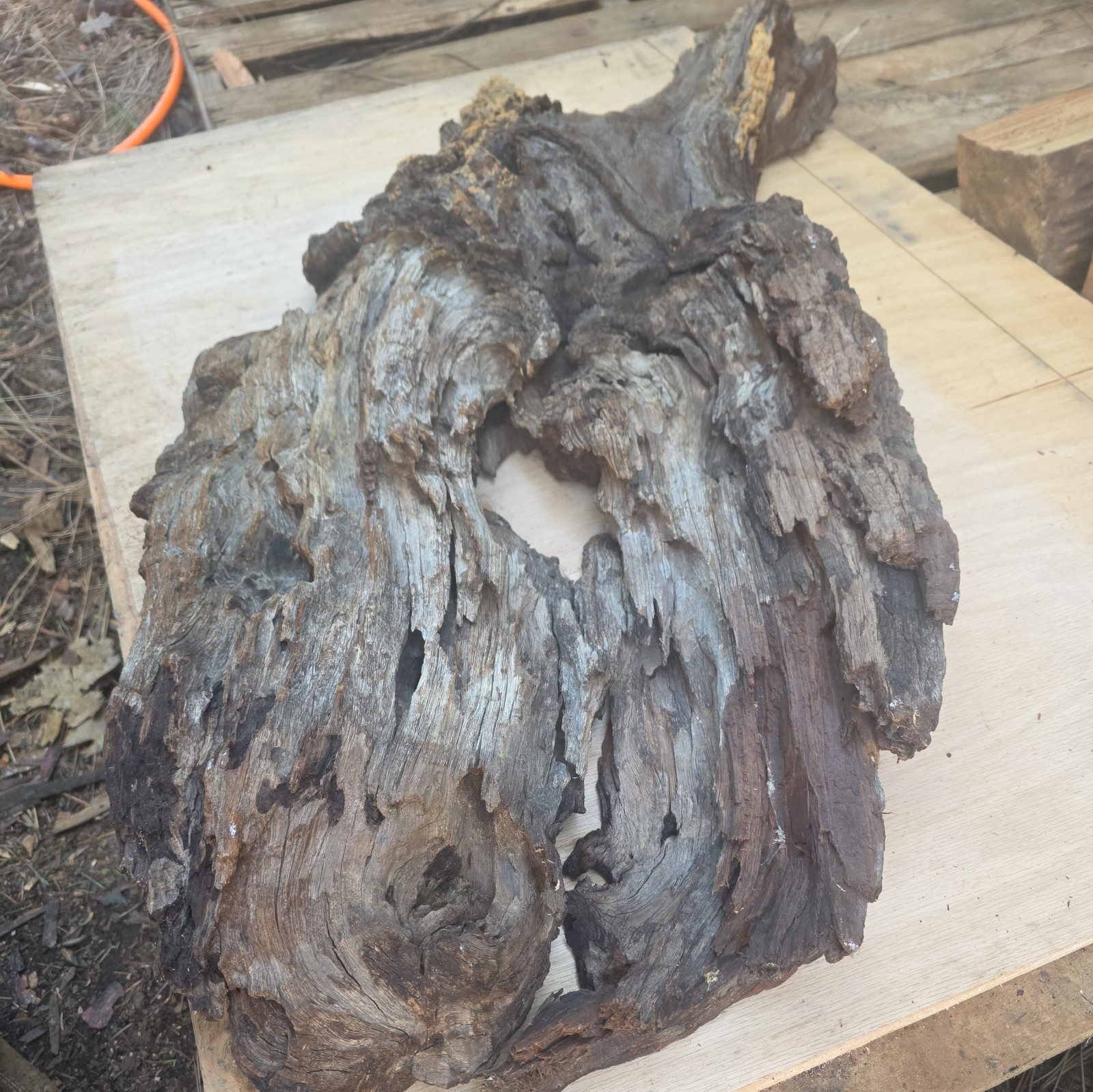 Desert Ironwood Live Edge Slab Epoxy Resin River Table Woodworking Art Mill Log