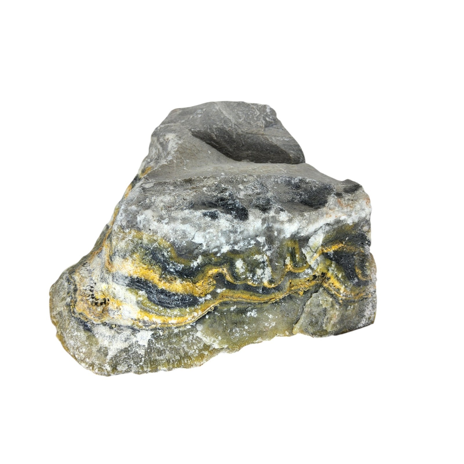 Bumblebee Jasper, 1.25 lbs, cabbing rough, #R-6999