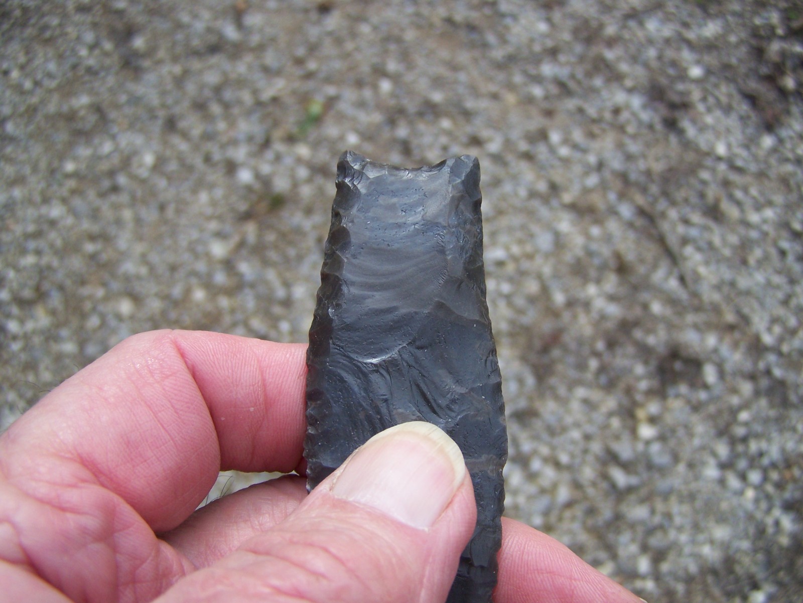 Here is a group of reproduction arrowheads! (Read listing)