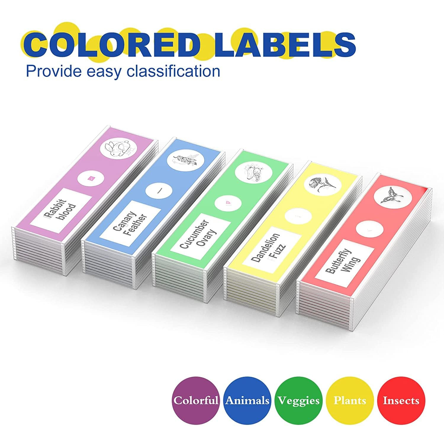 60Pcs Prepared Microscope Slides Specimen Animals Insects Plants Flowers Sample.