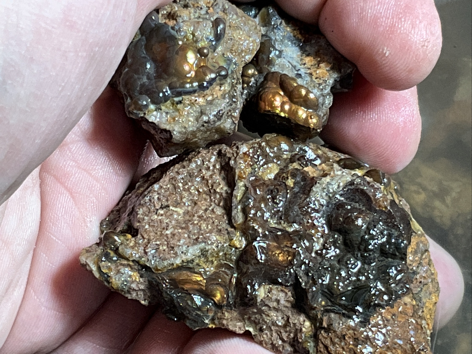 1/4 Pound Fire Agate Choice & Mid Grade Professionally Chosen Colorful Rough Lot