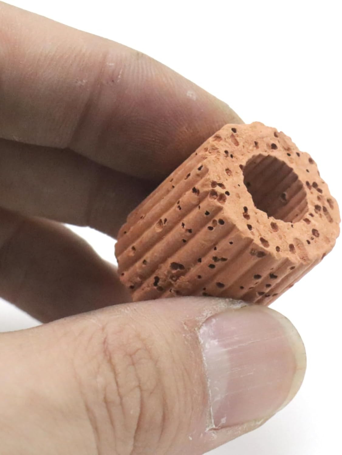 Aquatic Plant Fixed Ring Base, 10-Pack, 25mm Water Plant Cultivation Rings for A