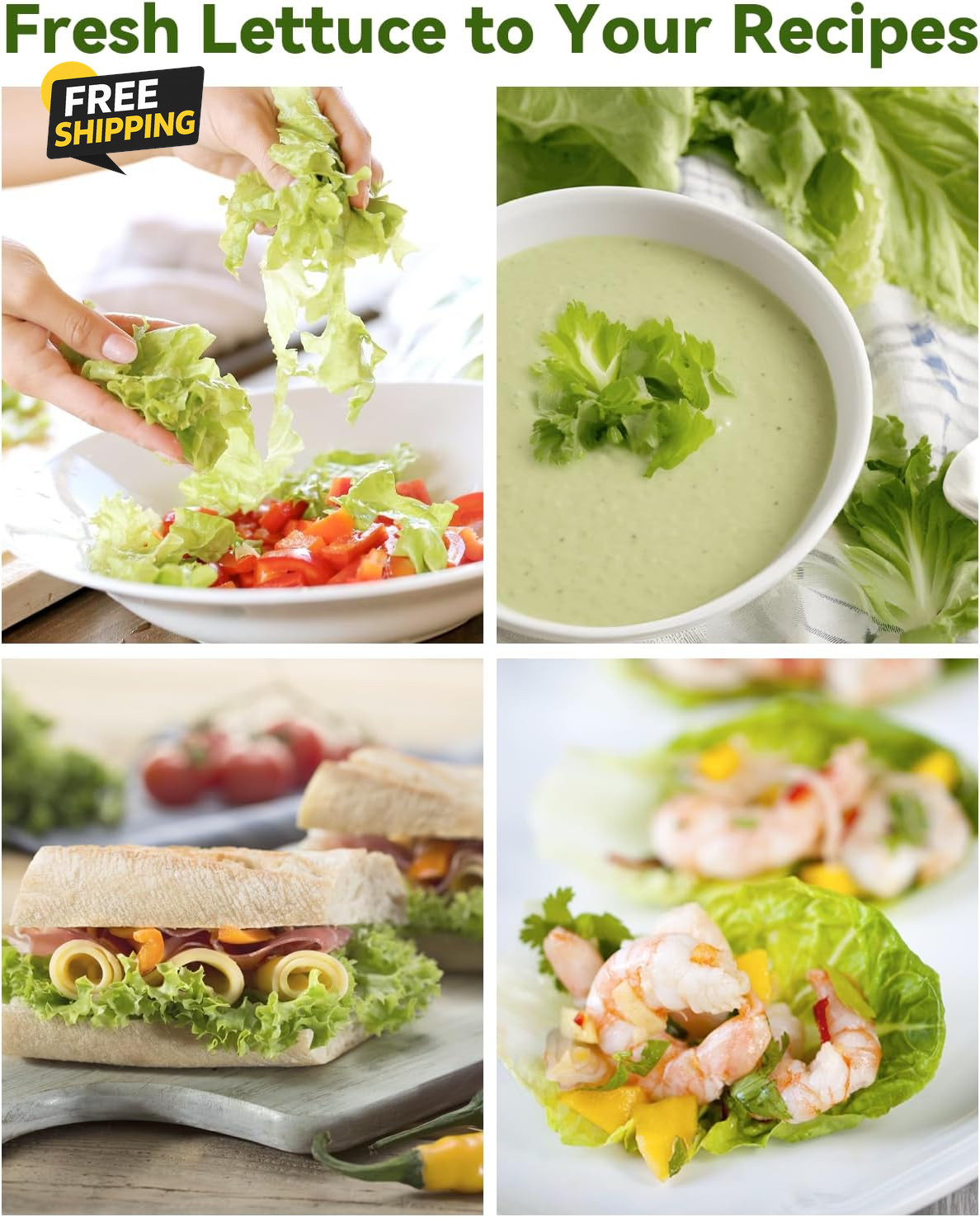 Salad Green Seed Pod Kits for Aerogarden Ahopegarden, Idoo Hydroponics Growing