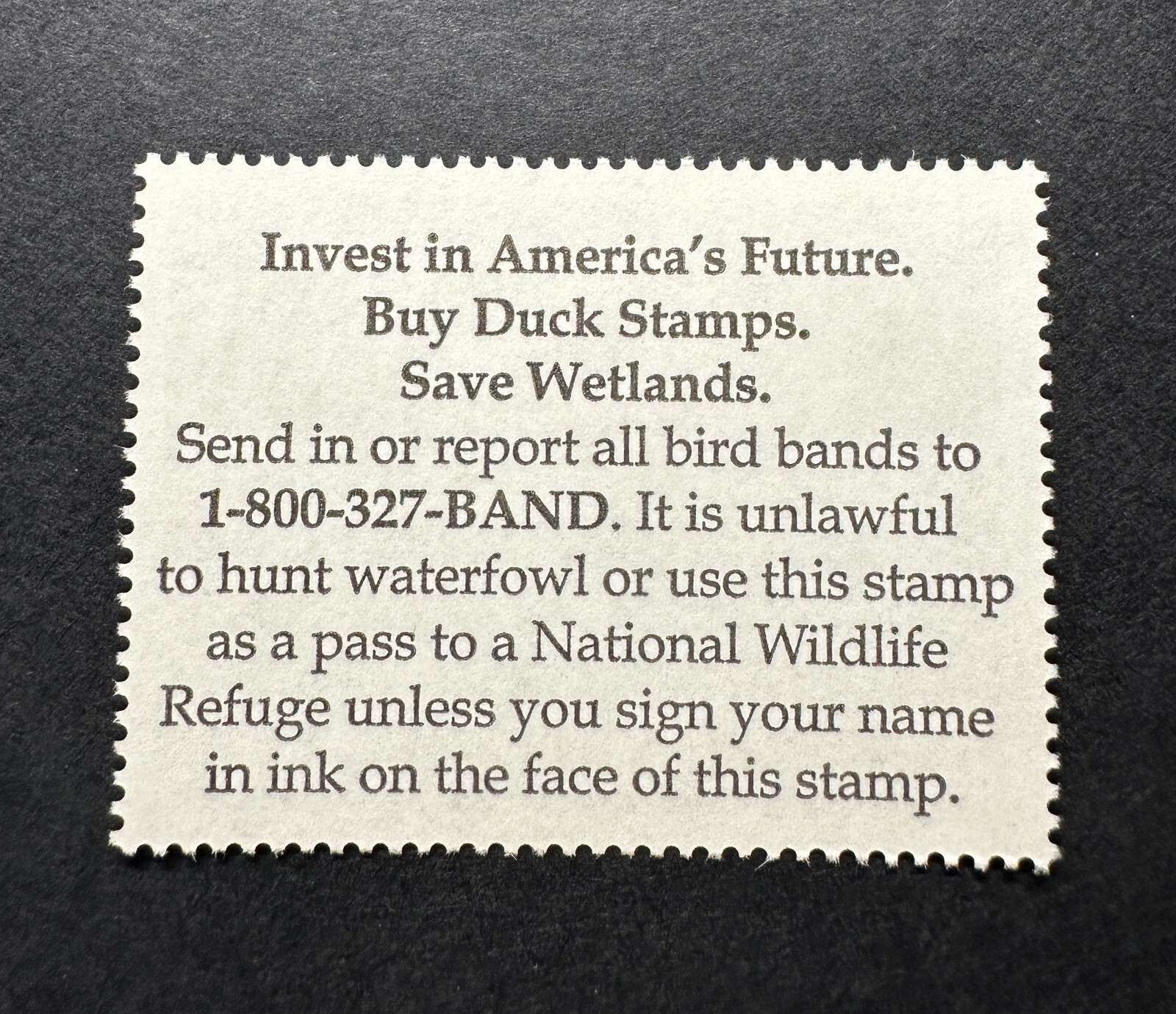 WTDstamps - #RW76 2009 - US Federal Duck Stamp - Mint OG NH