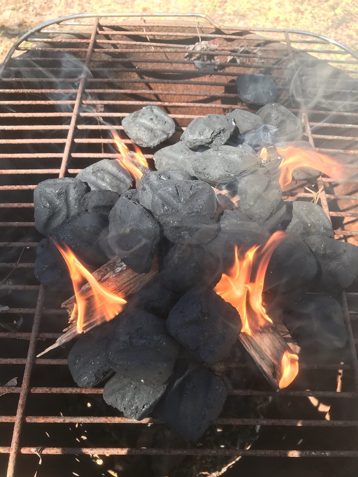 7 lbs Georgia Fatwood Natural Fire Starter Kindling. THE BEST!