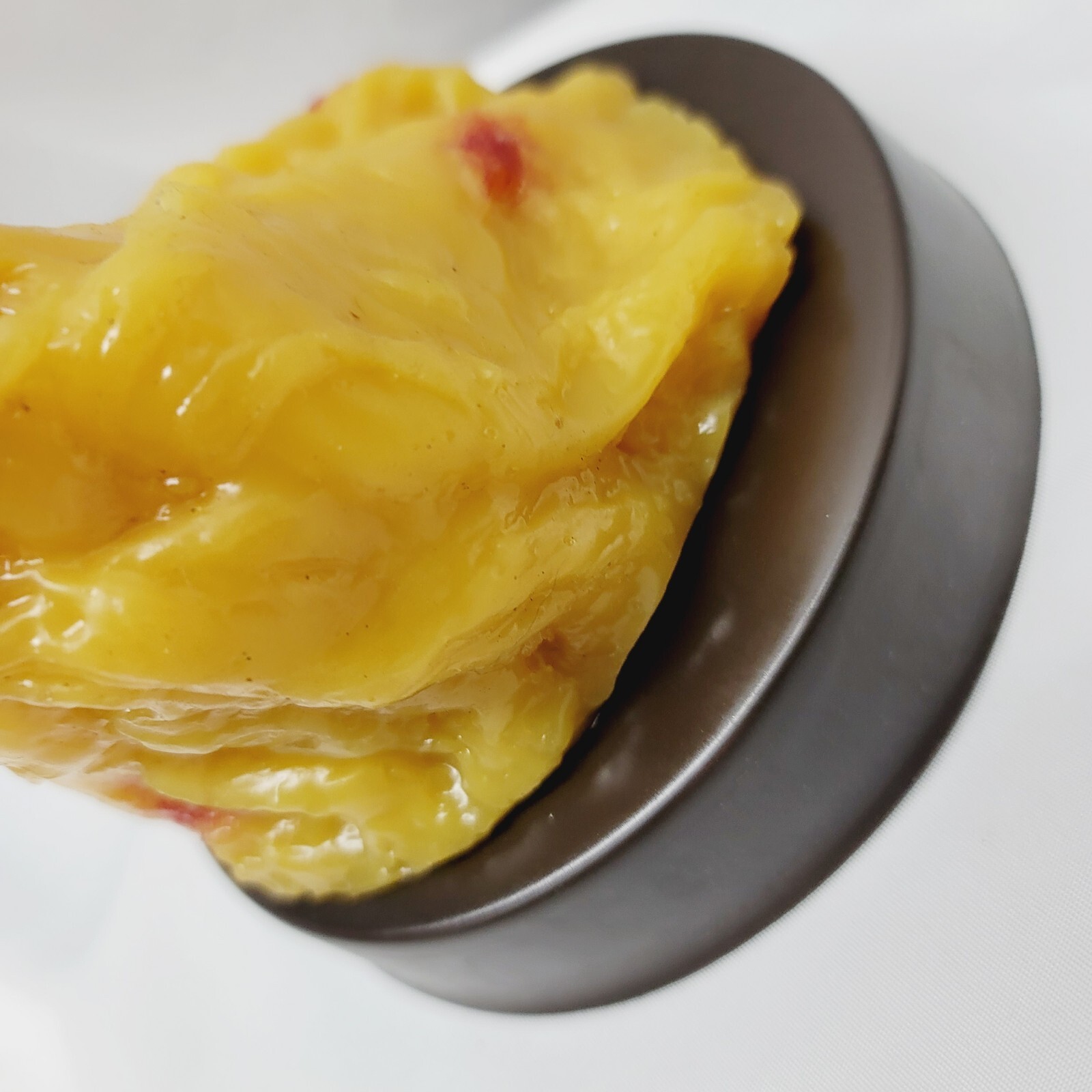 Vintage Human Adipose Tissue Replica Model Of 1lb Of Fat