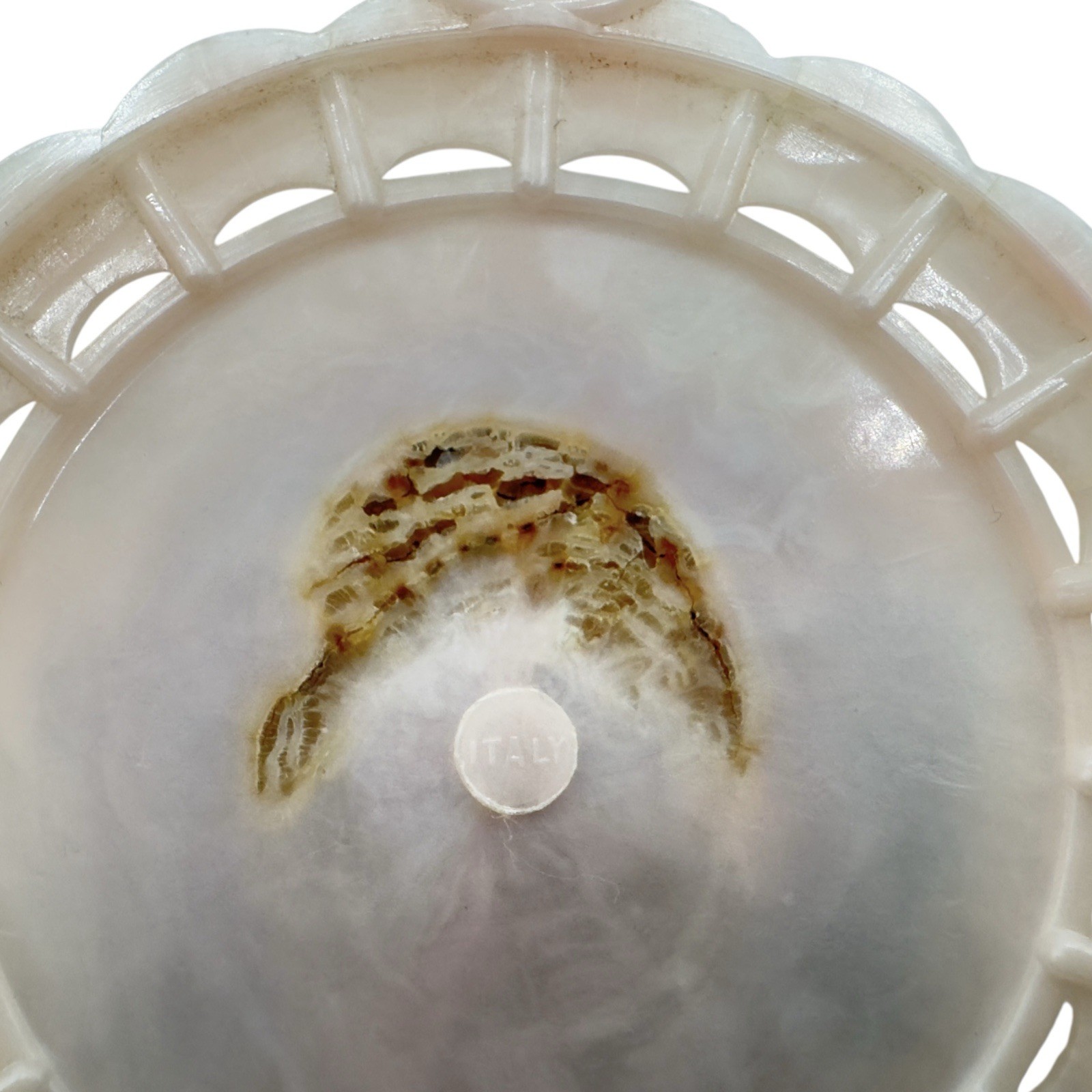 Saint St Jeanne Antide Thouret Catholic French NUN Sister Vintage Souvenir Frame