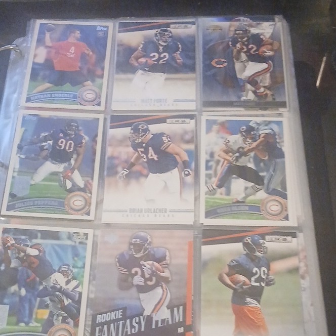 MYSTERY BINDER filled with sport cards
