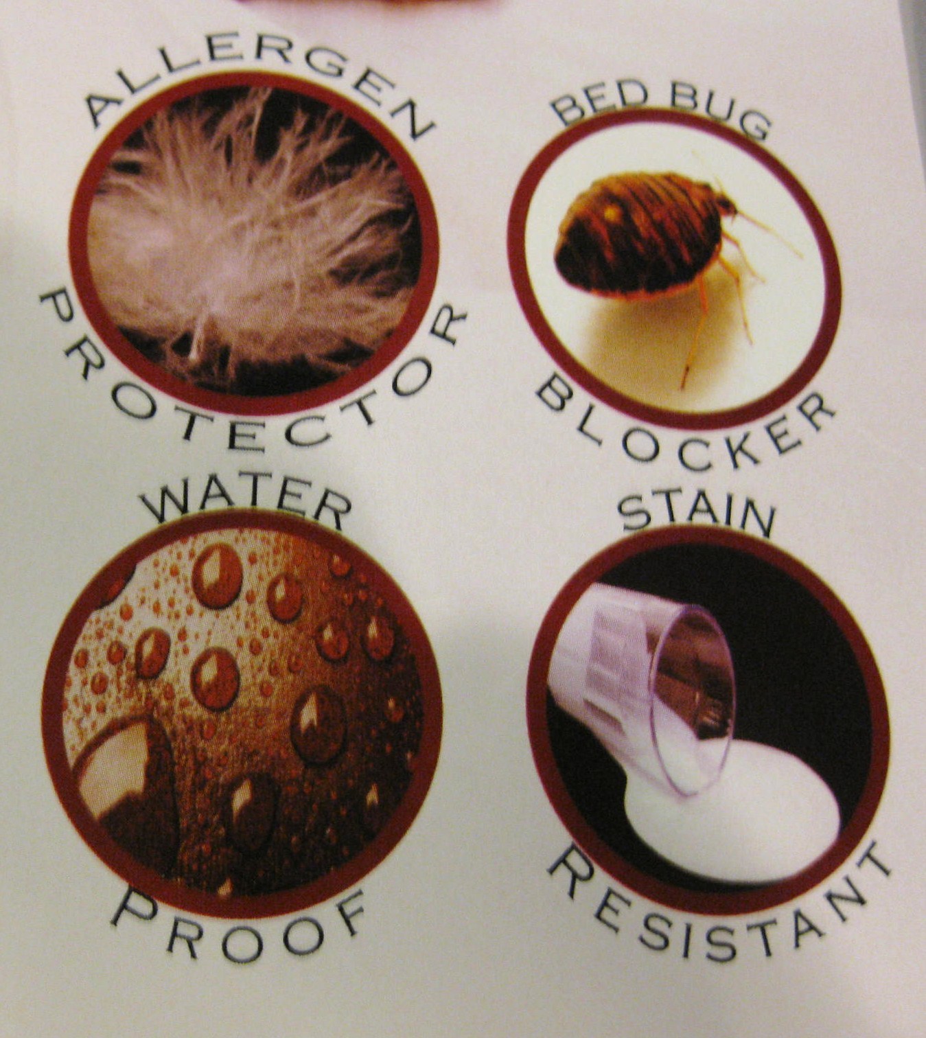 TOP SELLER! Bed Bug PROTECTOR Soft Lux FABRIC ~ Allergen Zippered MATTRESS COVER