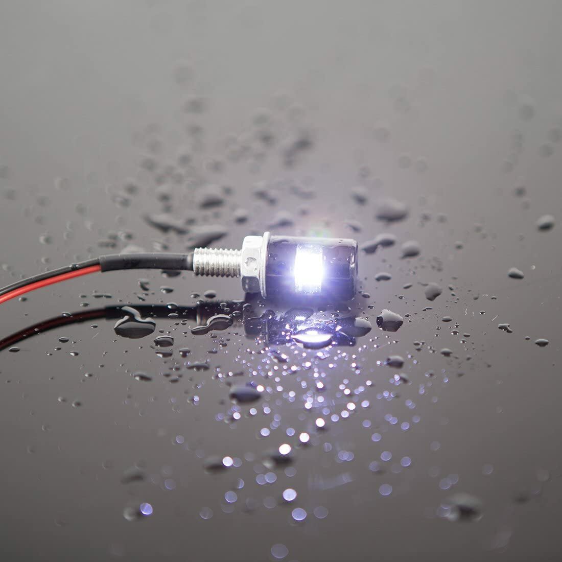 2x License Plate Light,Tag Screw Bolt Lamp,12V White LED Bulb for Car Motorcycle