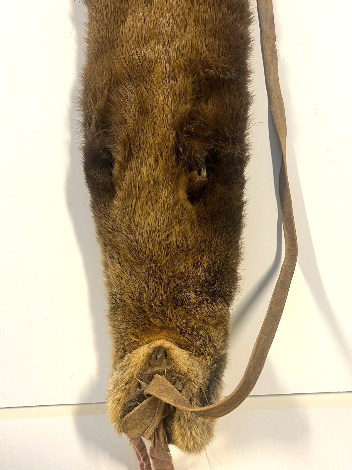 Original Native American Indian Fur Quiver; Old Red Trade; 19th Century