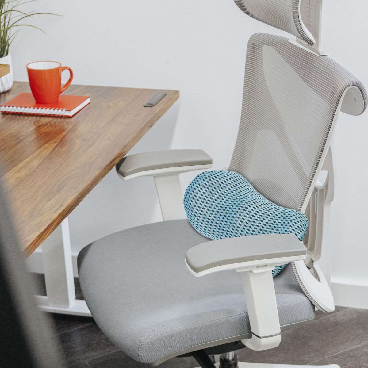 Comfort Lumbar Support Pillow Memory Foam Back Pain Relief For Desk /Car Chair