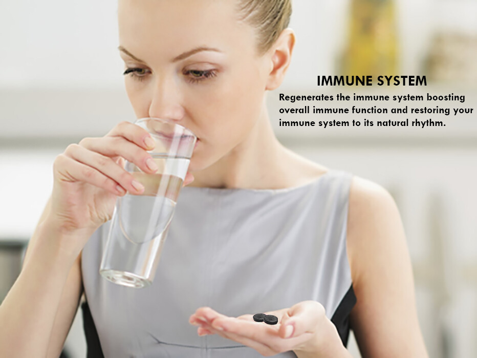 All Natural Mumijo Tablets Dietary Supplement from Altai Mountains