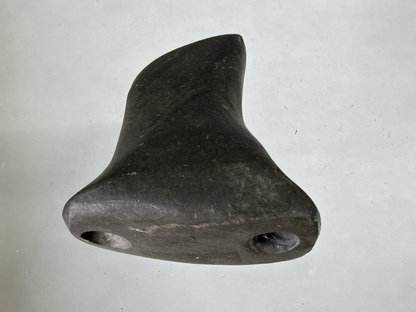 RARE AUTHENTIC BANDED SLATE BIRDSTONE FROM ASHLAND CO. OHIO, MOTLEY COA