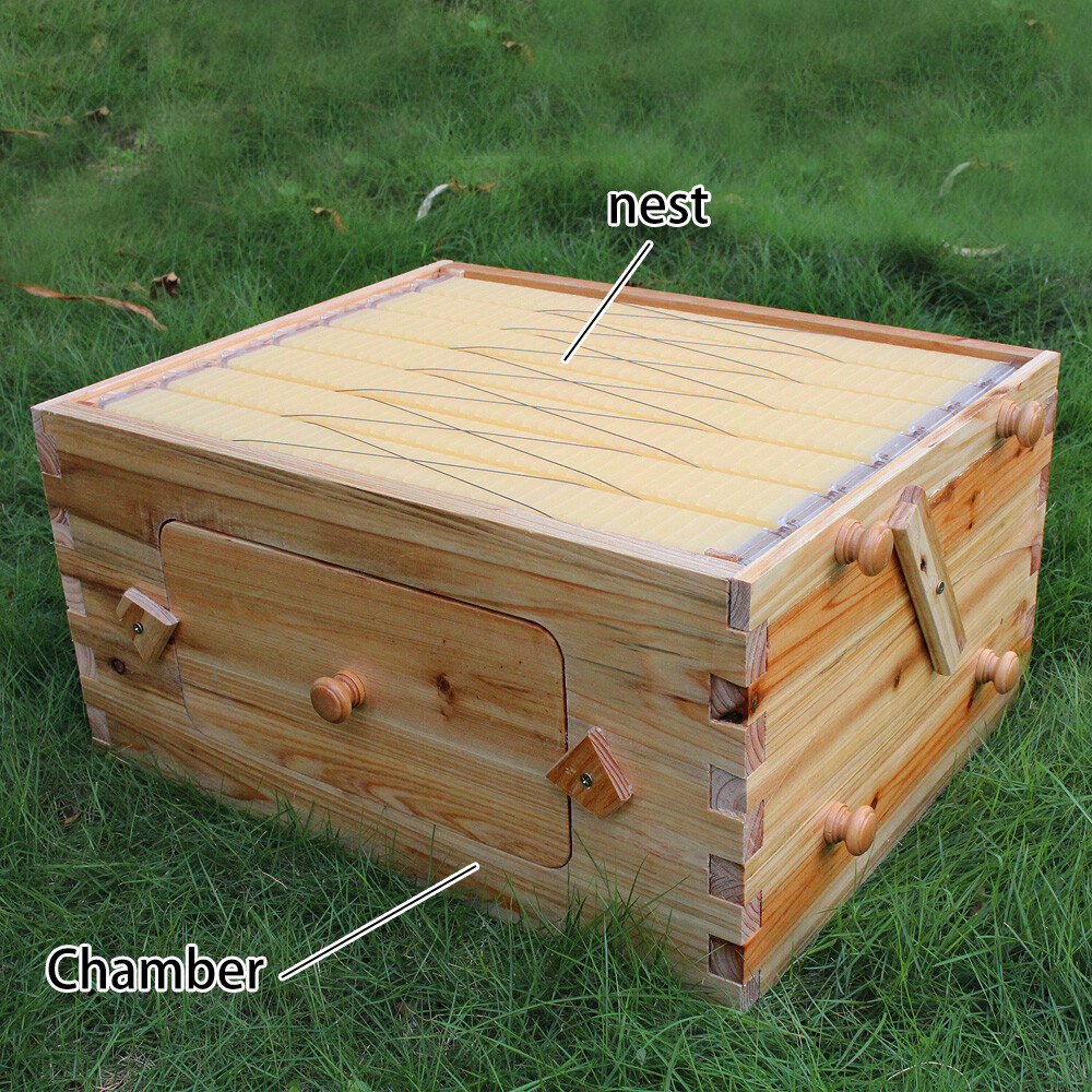 Auto Bee Hive Boxes Beehives+ 7x Bee Frames Honey Bee House Beekeeping Beekeeper