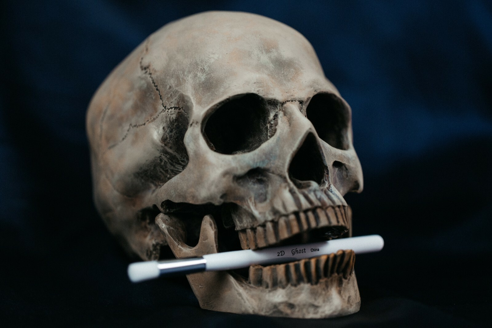 Ghost Miniature Paint Brush Set 8 Detail Paintbrushes & 3 Dry Brushes