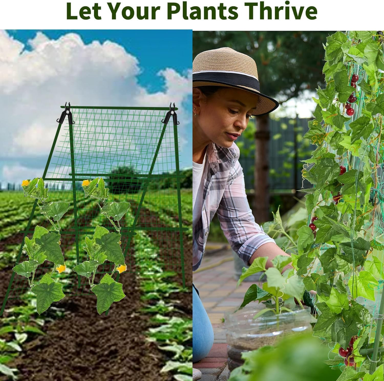 A Frame Metal Garden Trellis for Climbing Plants 47in with Net & Clips