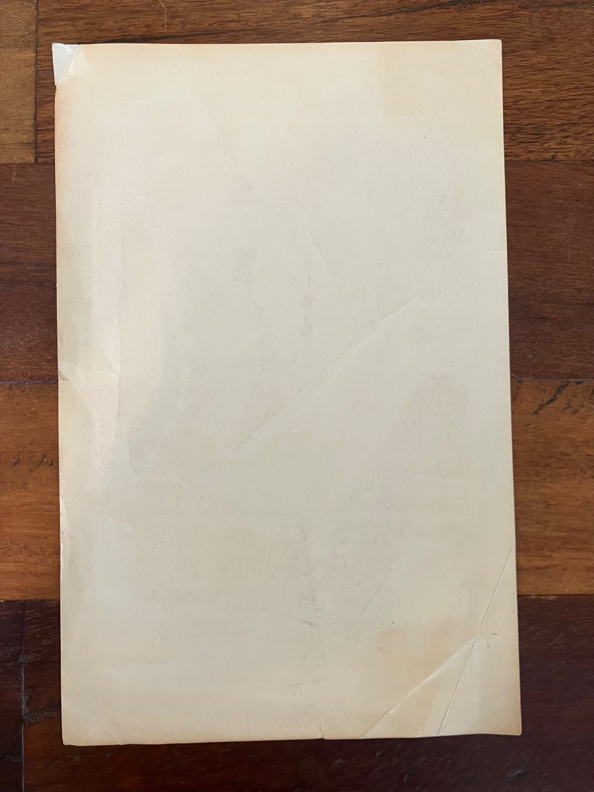 N. California Folk Rock Festival Handbill May 1968 Big Brother Country Joe Doors