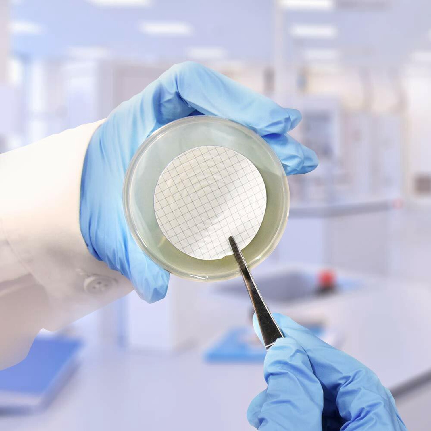 MCE Gridded Membrane Filters, 47mm Diameter, 0.22 um 0.45 μm Pore Size, STERILE