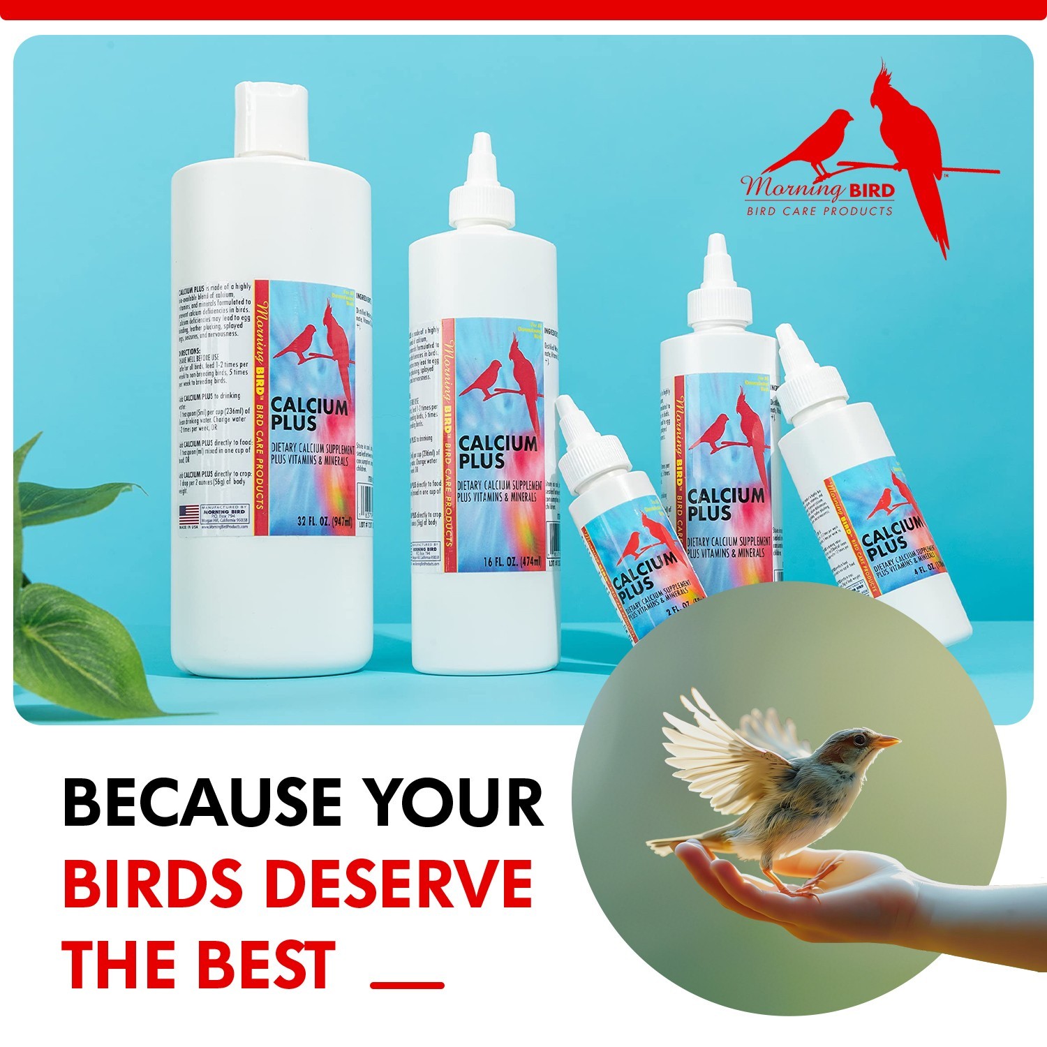 Morning Bird Calcium Plus Liquid Supplement for Birds Plus Vitamins & Minerals