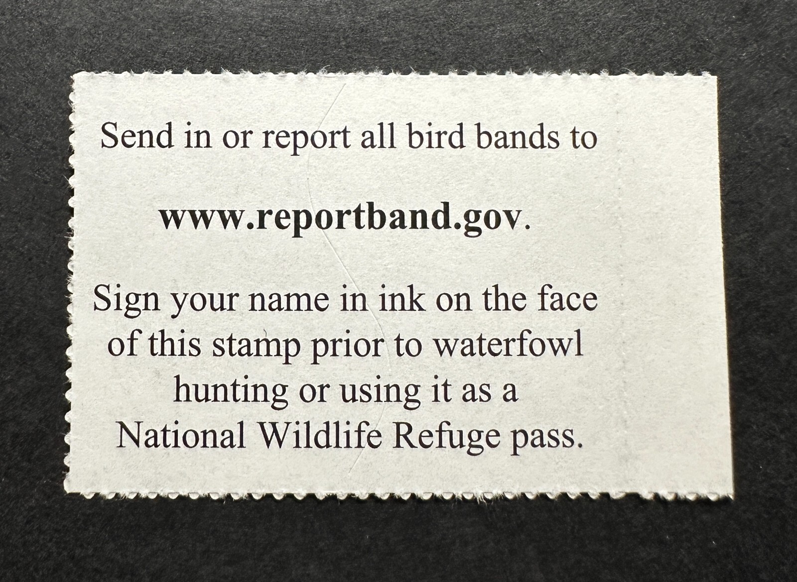 WTDstamps - #RW88 2021 - US Federal Duck Stamp **RICHARD CLIFTON** Mint OG NH