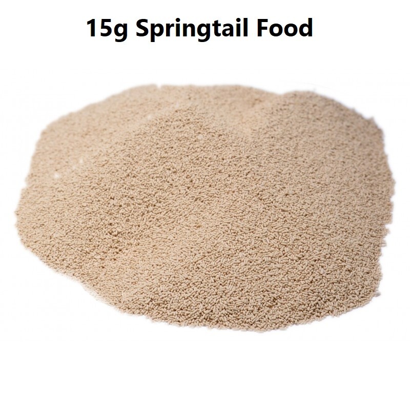 500+ Tropical White Springtails / Clay Culture / 8oz - FREE SHIPPING