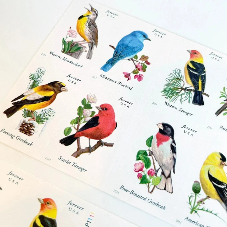 US # 4891b SONGBIRDS (2014) - Booklet Pane of 100 Forever Stamps, NEW MNH