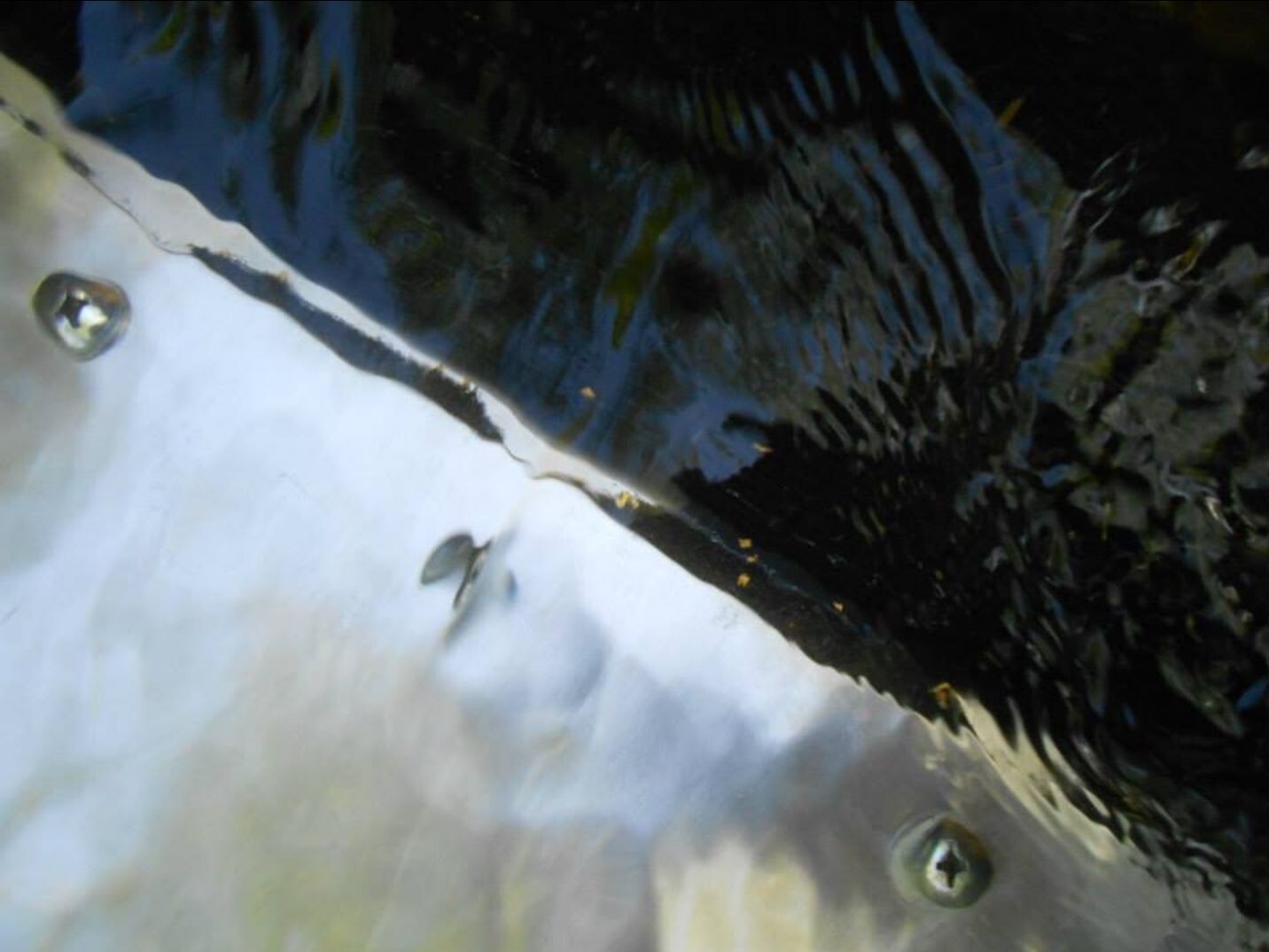 🔥 Gold Pan + 1lb Concentrate Paydirt Prospector Kit – Georgia - Nuggets, Fines