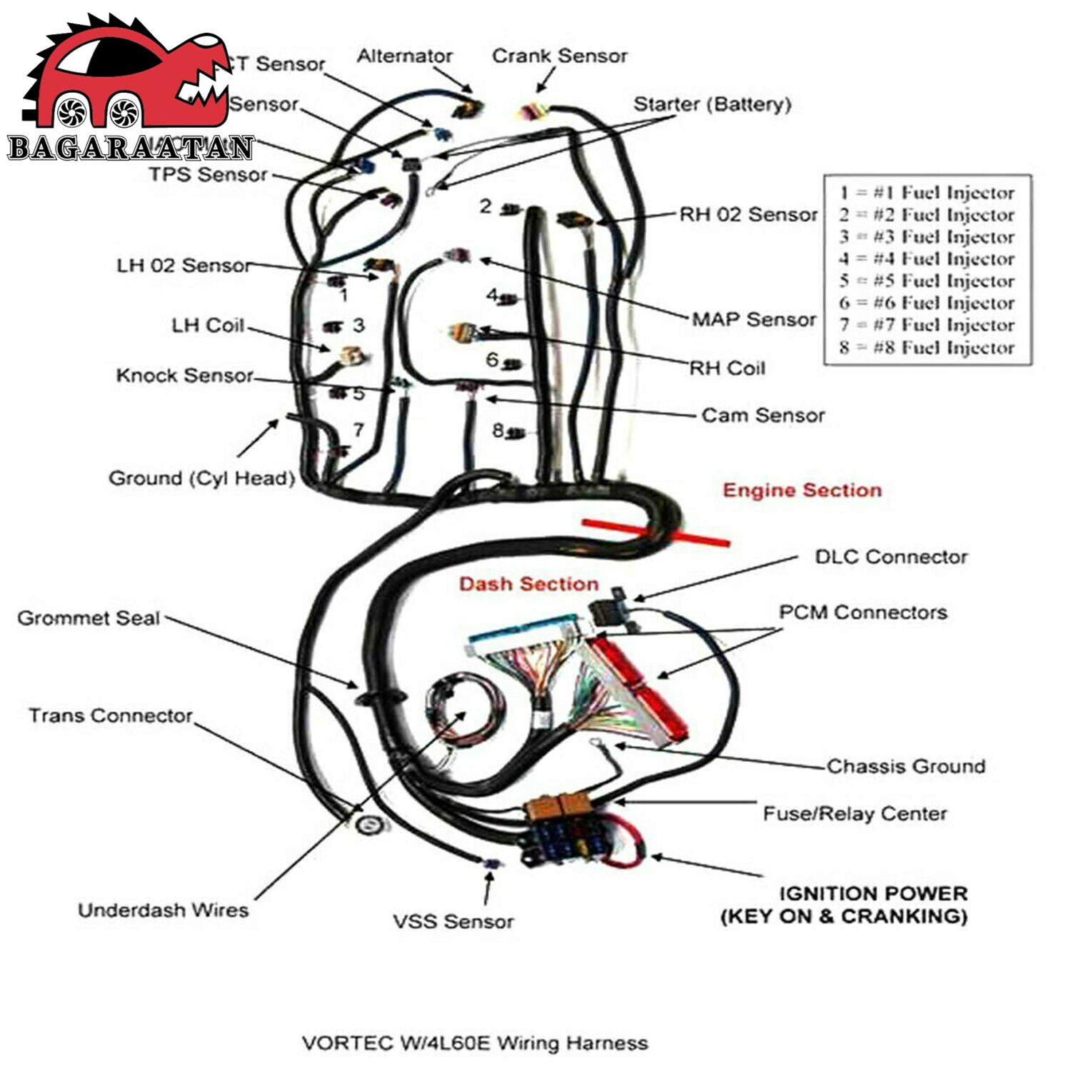DBC Stand Alone Harness 4L60E For Drive by Cable LS1 LS SWAP 4.8 5.3 6.0 1997-06