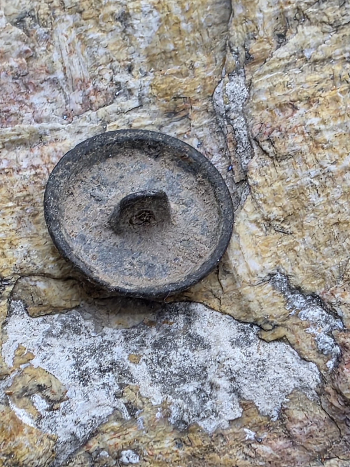 Mexico Spanish Colonial Military Button Charles III?