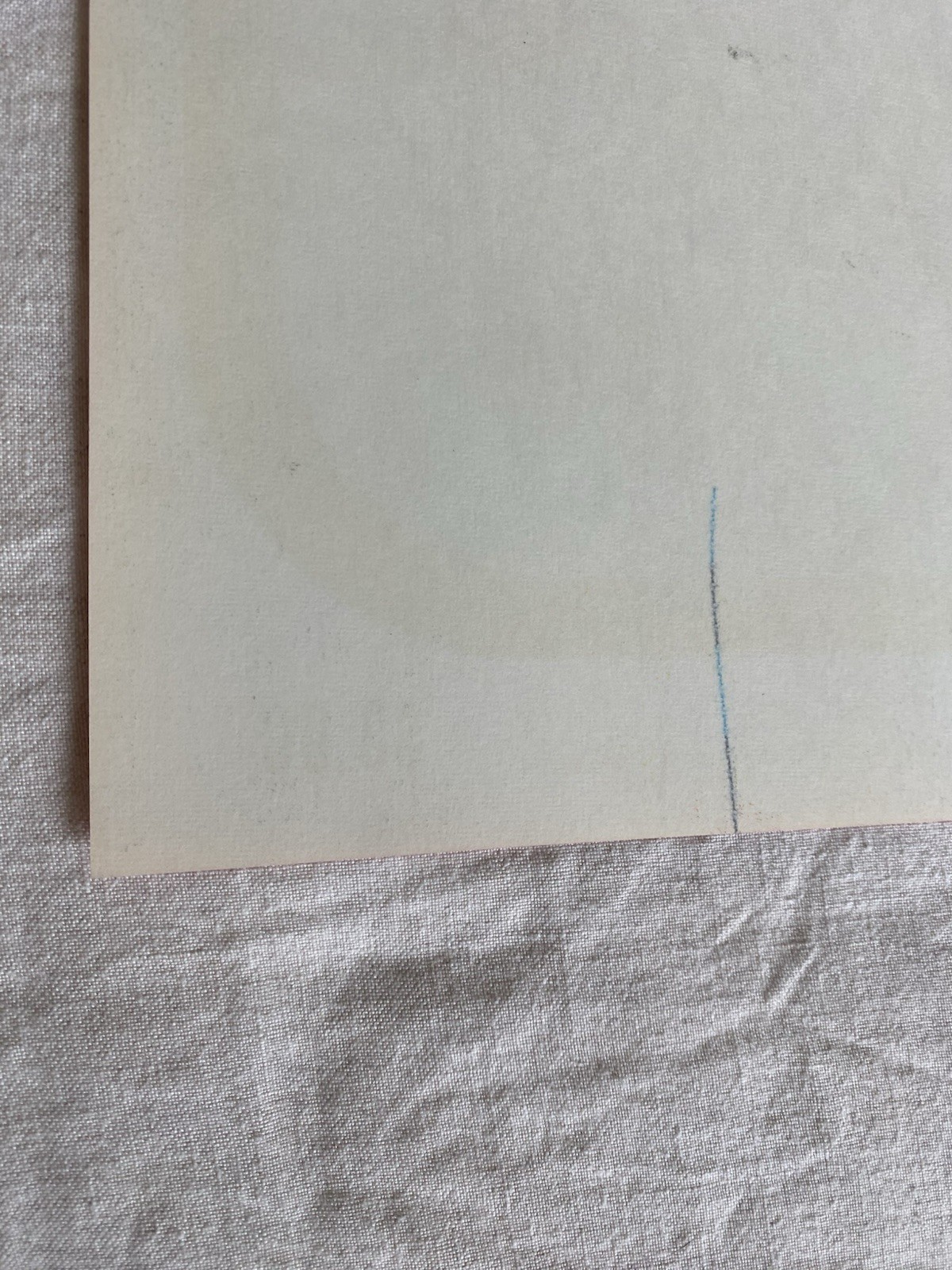 1969 Steve Miller Alice Cooper Poster Masonic Temple Portland Steve Blashfield