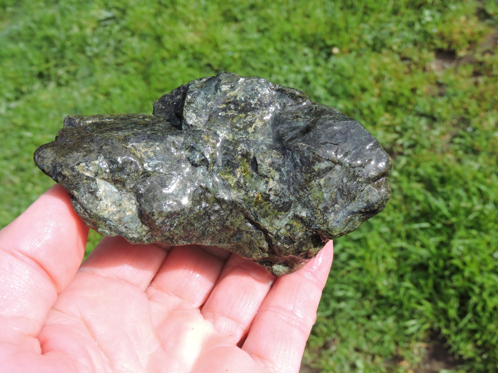 OREGON DARK GREEN SERPENTINE Rough Stones. *MAGNETIC* 100% Natural (8 lb)