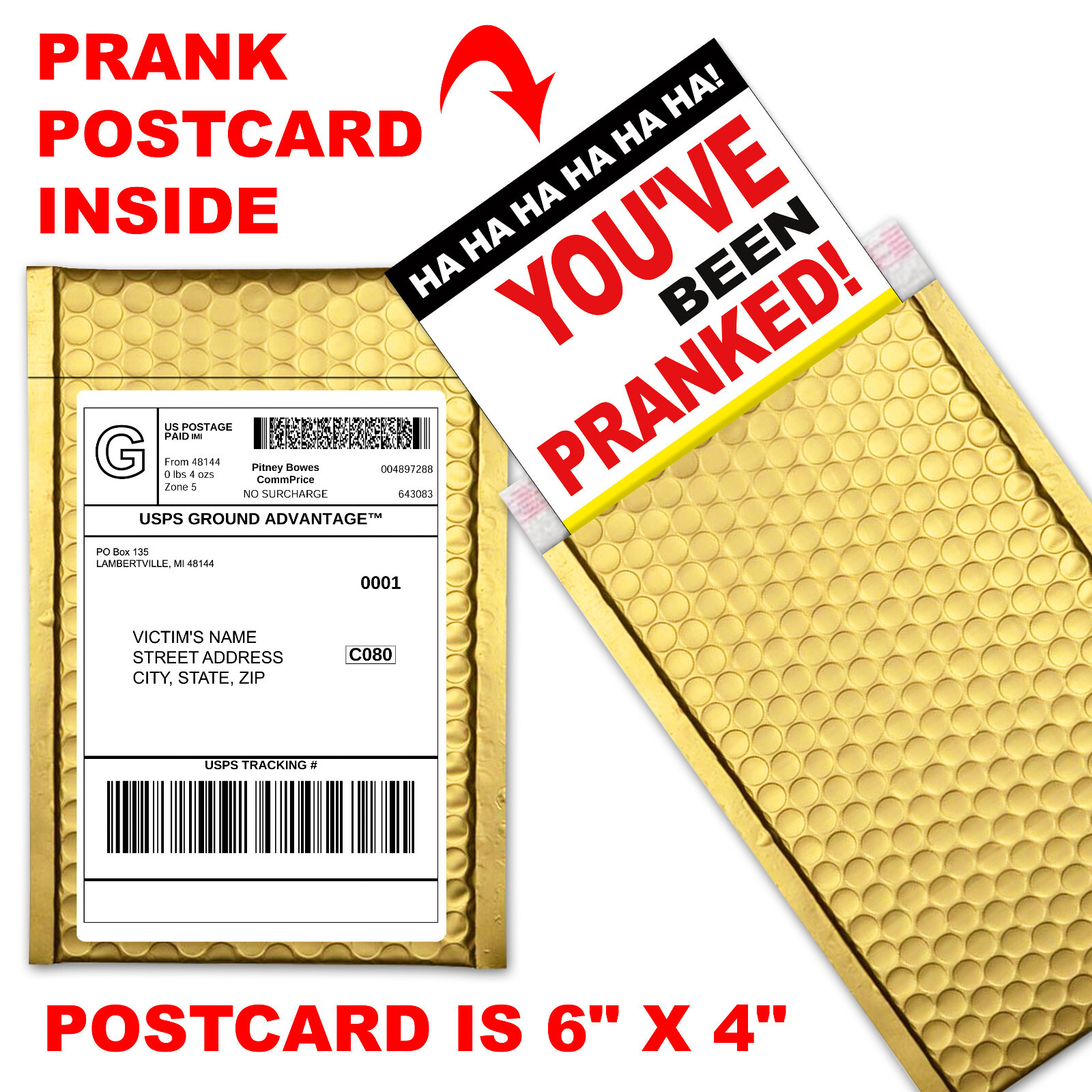 LOL Gay Cruise Prank Mail Gag Practical Joke Sent Directly to Friends