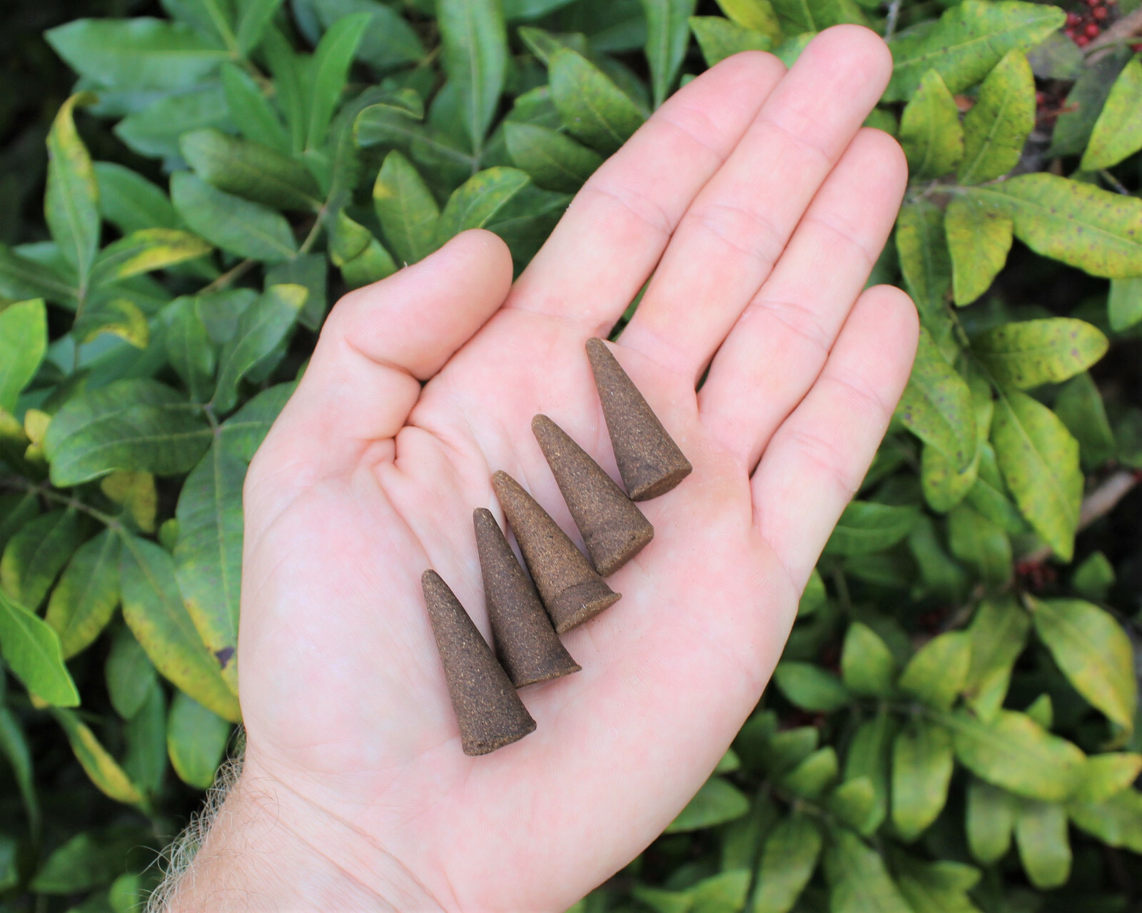 Incense Cones: BUY 4 GET 4 FREE! Pick Scent! (Hem, Kamini, Satya) FREE SHIPPING!