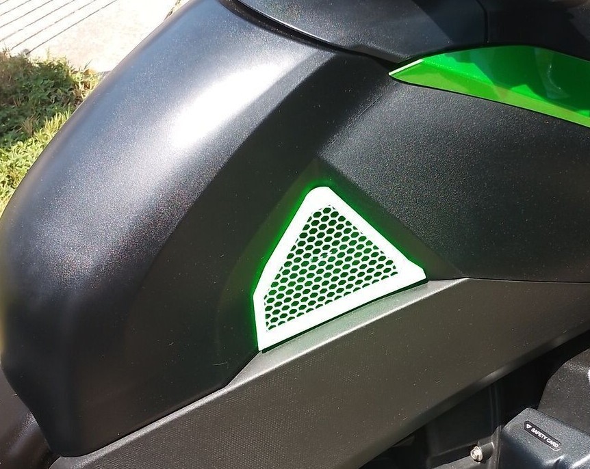 Canam Ryker Honeycomb Side Tank Cover 600cc 900cc Ace Rally Sport 3D Printed