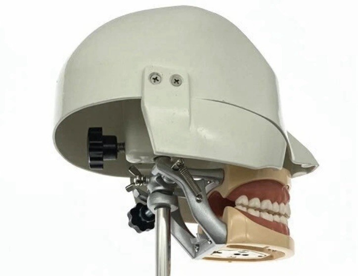 Dental Simulator Nissin Manikin Phantom Head Model With Bench Mount