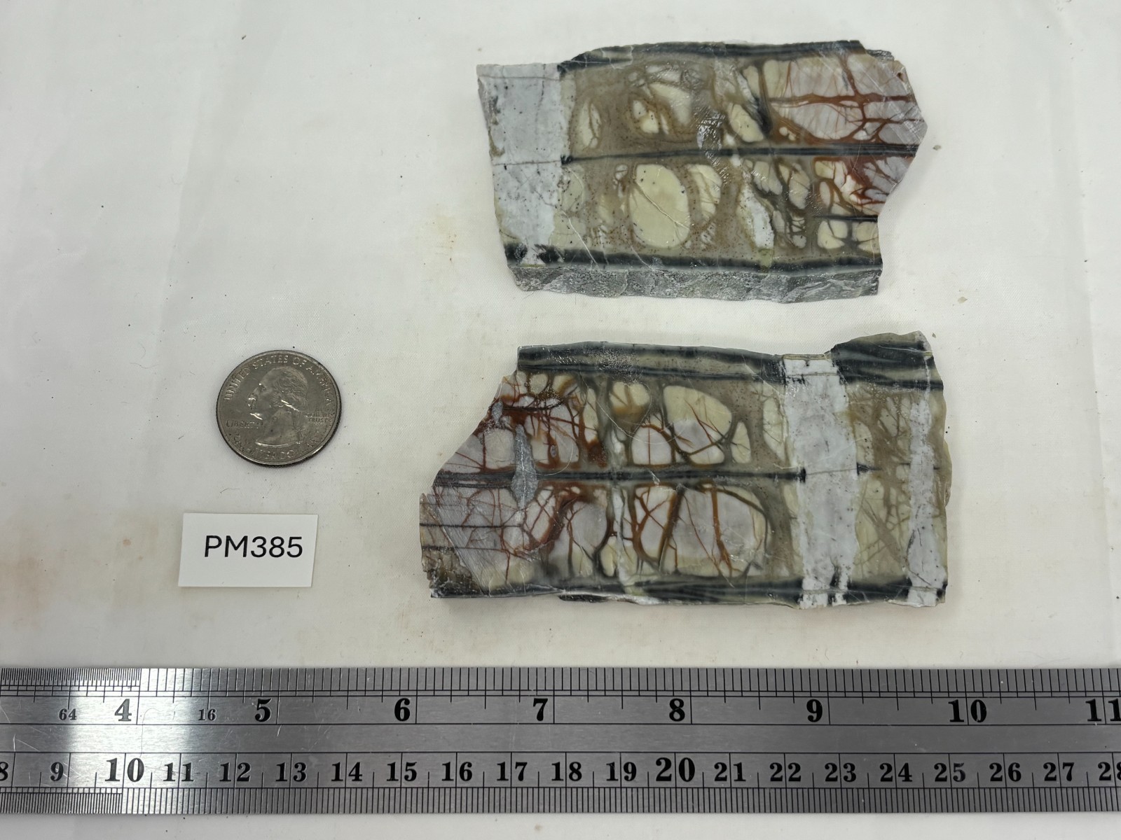 Picasso Marble (Jasper) Slabs Cabbing Lapidary Utah Combo Ship Avail