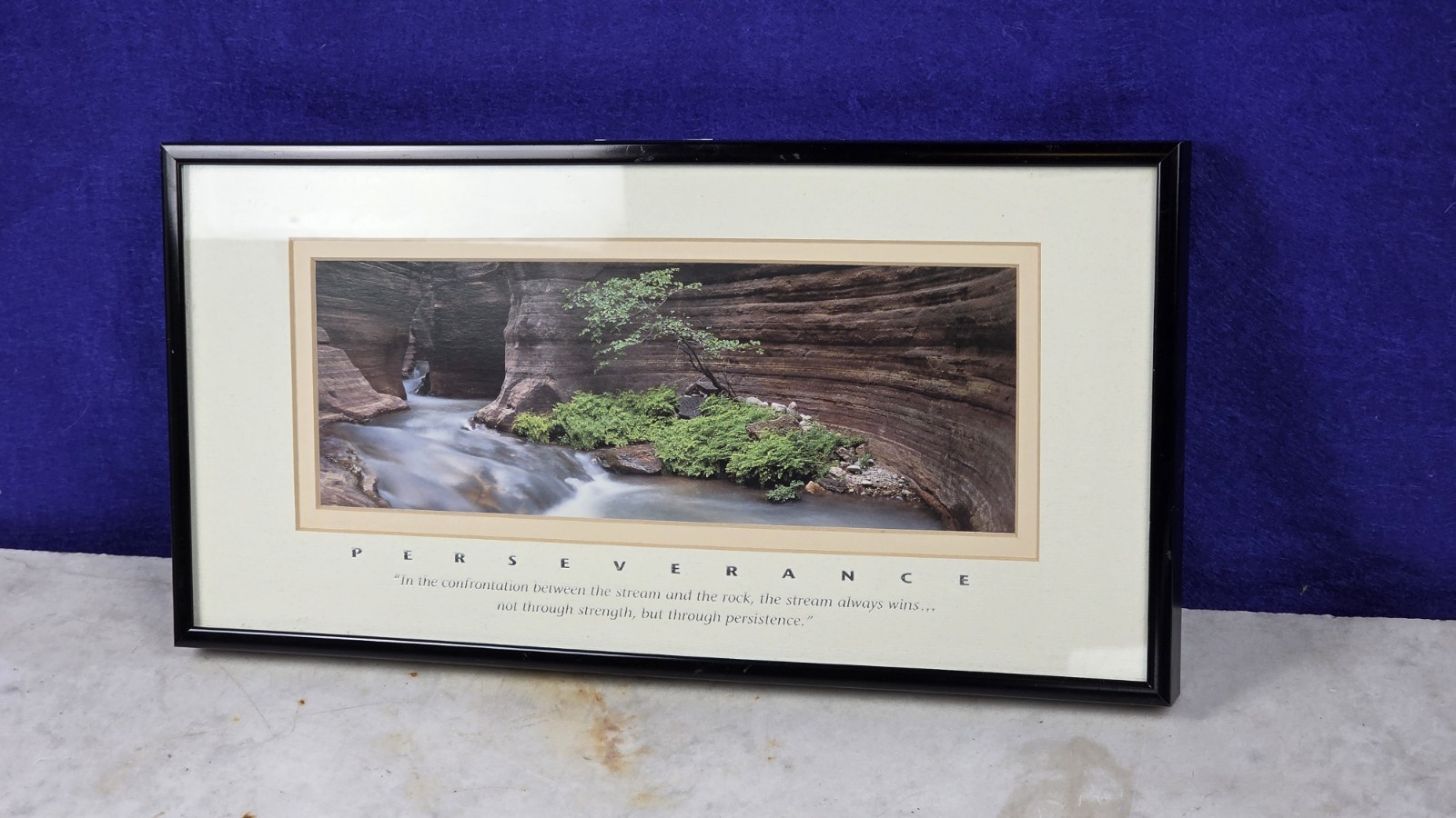 "PERSEVERANCE" Professional Framed Artwork - DECOR